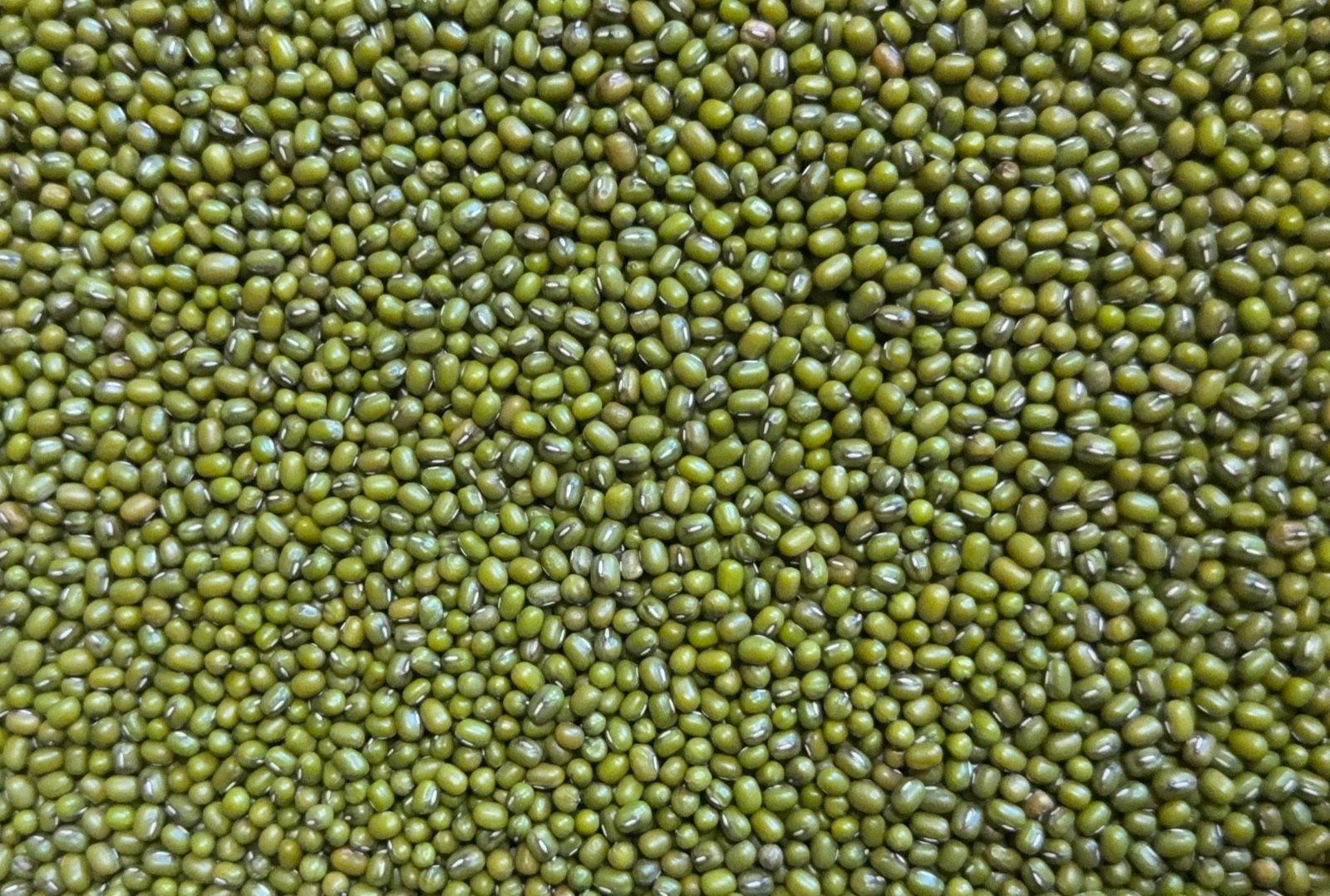 Green Mungbean — The Royal Barge